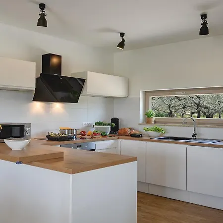 Modern In بولا